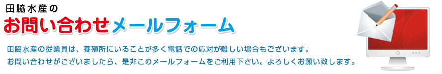 無料メール診断問い合わせ